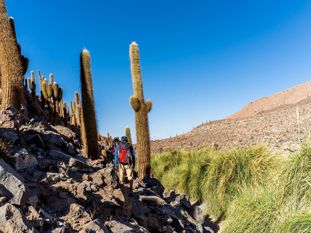 Noi Casa Atacama Otel San Pedro de Atacama Dış mekan fotoğraf